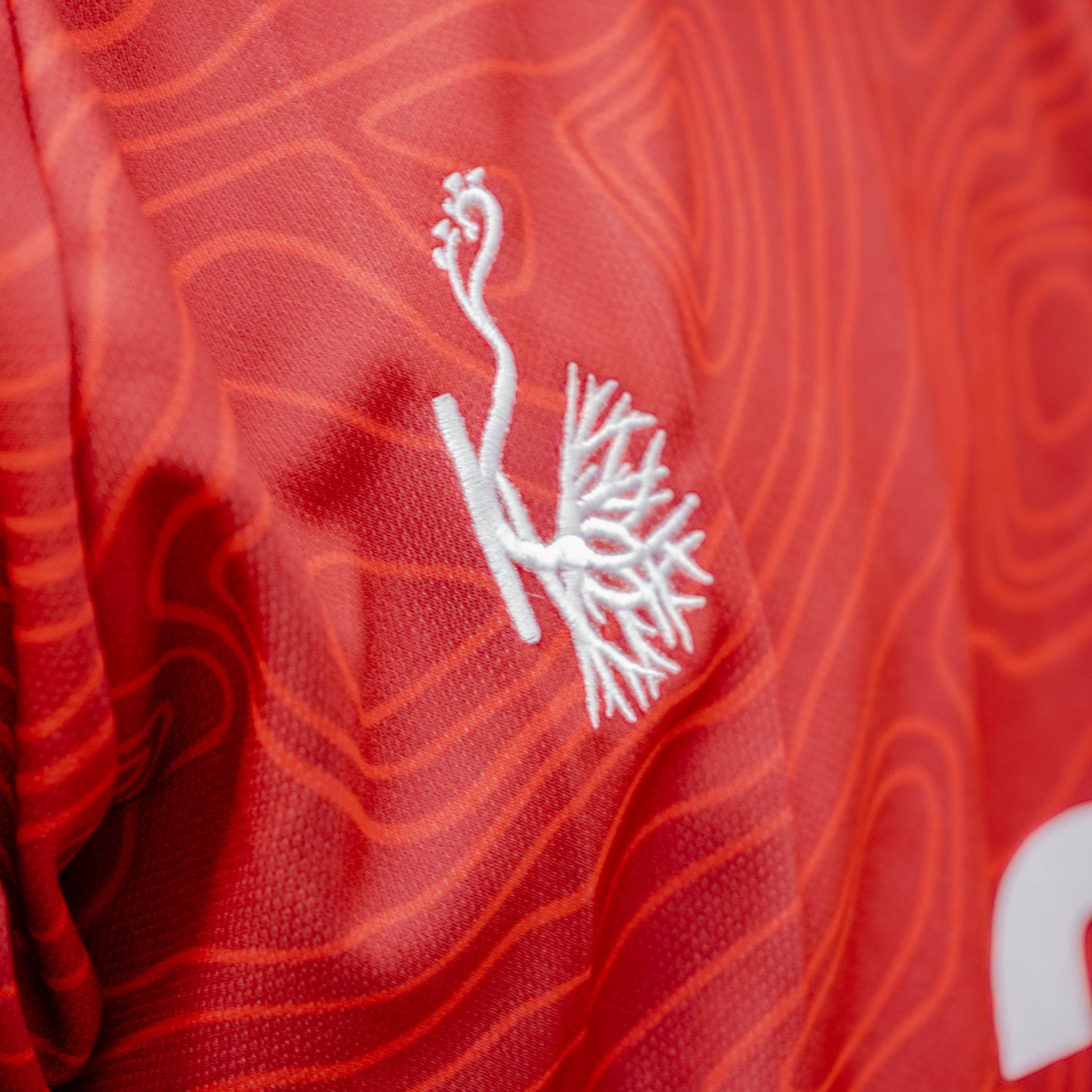 Maillot supporter Sanké Les Éléphants de Guinée